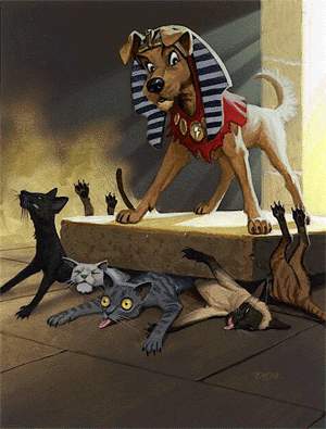 DeadsCats