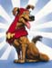 Champs the Wonder Dog