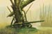 TerrainSwamps
